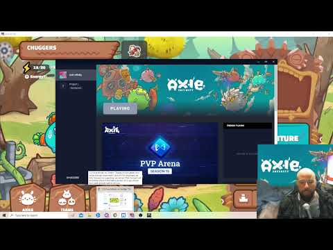 Axie Infinity Server