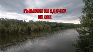 Рыбалка на Оке на удочку! Ловим ельца на опарыша с приманкой.