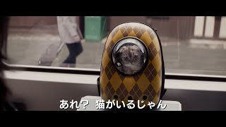 マシュー・ヴォーン監督の愛猫・チップが重要キャラで出演！映画『ARGYLLE／アーガイル』特別映像