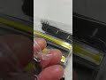 ヤフーオークションで購入したディライト