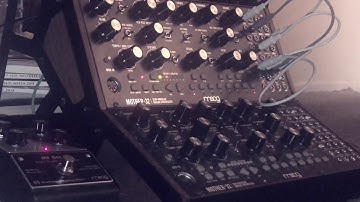 Moog Mother 32 Sequence Moog MiniFooger Delay