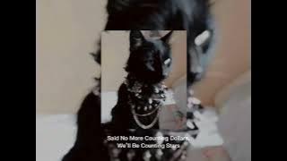 OneRepublic- Counting Stars [Sped Up]   Lyrics