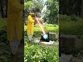 Chandaniya ( Lori Lori ) 🤱❤️ #shorts #shortvideo #viralvideo #viralshorts #stetus #emotional