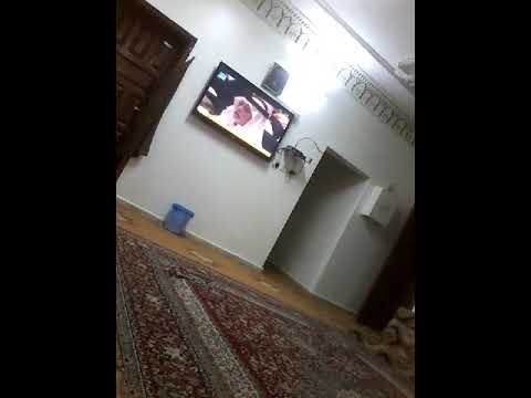 ن مة ةنا تى ومالرغلخابؤ هالر تالر تالؤ ةتلؤ ةؤيقق ناؤىة ىلؤرؤ