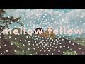 Mellow Fellow - "Until The Time" (Alternate)