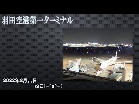 空港の夜景飛行機羽田空港第一ターミナル