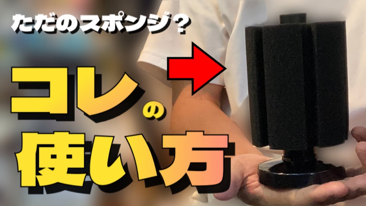 【金魚水槽】スポンジフィルターの使い方 本当に使い方あってる？15年間の使用方法、本当の使い方とは、投げ込みろ過とは、金魚飼育歴30年間監修　水中フィルター　信友XY-2811