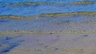 Rippling Water