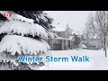 Winter snow storm walk in toronto gta suburbs