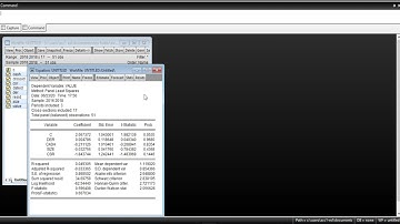01 Eviews Series: Common Effect