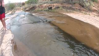 Millcreek Dog Gap Jump