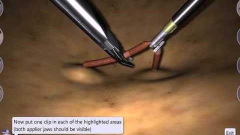 LapSim Basic Skills: Clip Applying