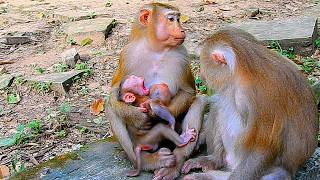 Joyce was not happy with Amanda when Amanda did this to her child, but Joyce could do nothing.