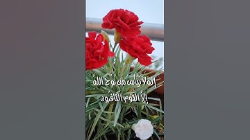 إنه لا ييأس من روح الله إلا القوم الكافرون ... بصوت القارئ الشيخ @quran635