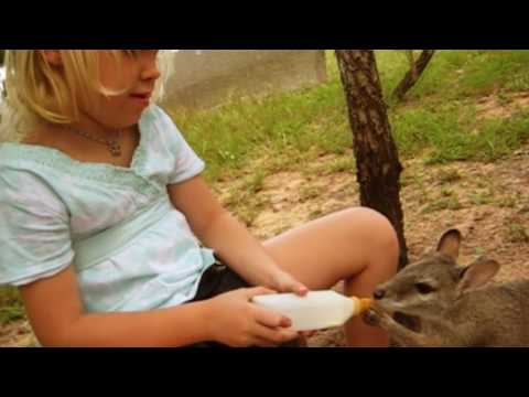 Mikayla - Jungle Girl