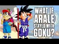 What if arale stayed with goku