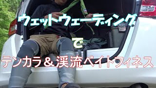 渓流ベイトフィネス　夏はこれで決まり！快適すぎるウェットウェーディングｗ