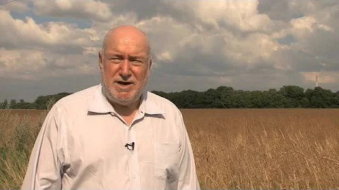 Ukranian black soil tilled for private investment - DayDayNews