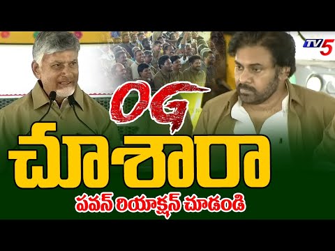 OG చూశారా..? CM Chandrababu About OG Movie With Auto Drivers - Pawan Kalyan | TV5 - TV5NEWS
