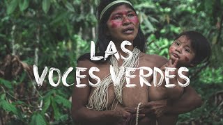 Episode 05 - DEFORESTATION VS REFORESTATION (South America) - FR / ENG subtitles