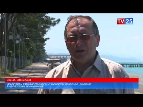 ენმ: \"ქობულეთის პარკი მოუწესრიგებელია\"