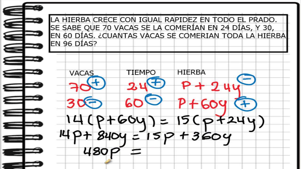 REGLA TRES VACAS PRADO HIERBA DIAS