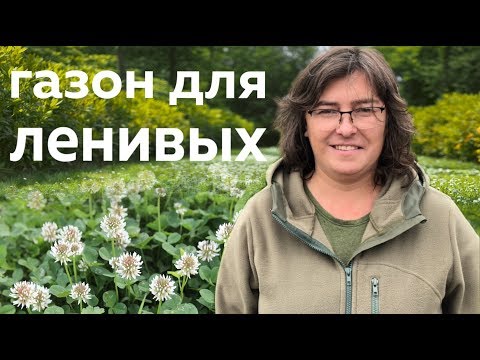 Видео: Создание благоприятных для опылителей газонов - выбор газонных растений для опыления