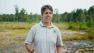 Glade Restoration on the Ozark-St. Francis and Ouachita National Forests