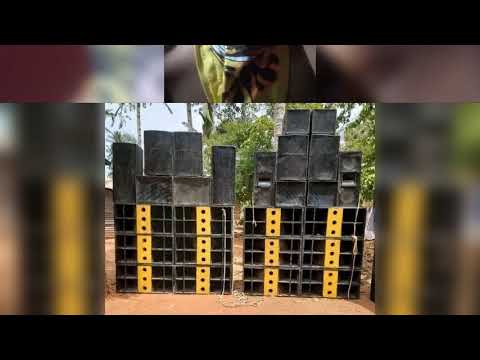 DAVIBRATORZ MIXX 2023 Https Chat Whatsapp Com FyEa93gRCEi2iuyzseVkqD