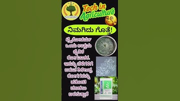 Trichoderma viride or T. harzianum #agriculture #biofungicide