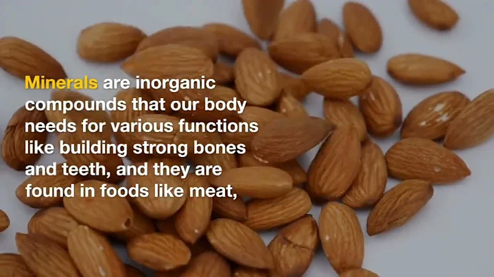 Macro vs Micro Nutrients: What's the Difference and Why They Matter for Your Health