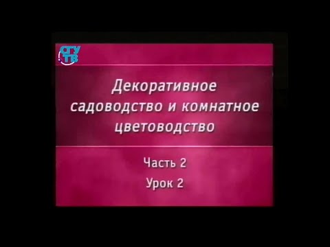 Видео: Двулистна мина