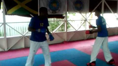 Delano Francis vs Akino Lindsay itf Taekwon do tra...