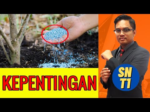 Video: Keempat Bahagian Keseluruhan