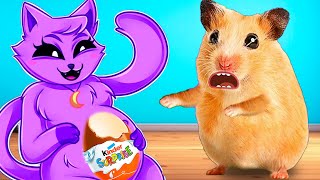 CATNAP Pregnant Escaped Hamster Maze with Egg Kinder the Awesome in Real Life by Great Hamster