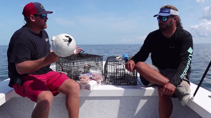  Joy Fish Pinfish Trap (18x14x8) : Fishing Bait Traps :  Sports & Outdoors