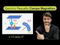 Ejercicio Campo Magnético Física Ballierato Universidad (Fuerza de Lorentz y equilibrio de fuerzas)