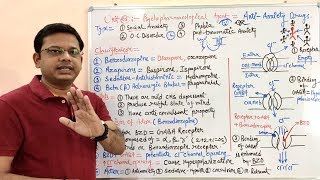 Antianxiety Drugs |Type Classification and Mechanism of Action of Antianxiety Agents | Anxiolytics