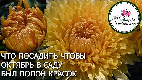 ЧТО ЦВЕТЕТ В ОКТЯБРЕ