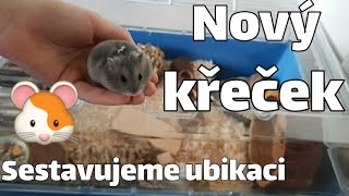 Nový křeček| Vybavujeme ubikaci🐹