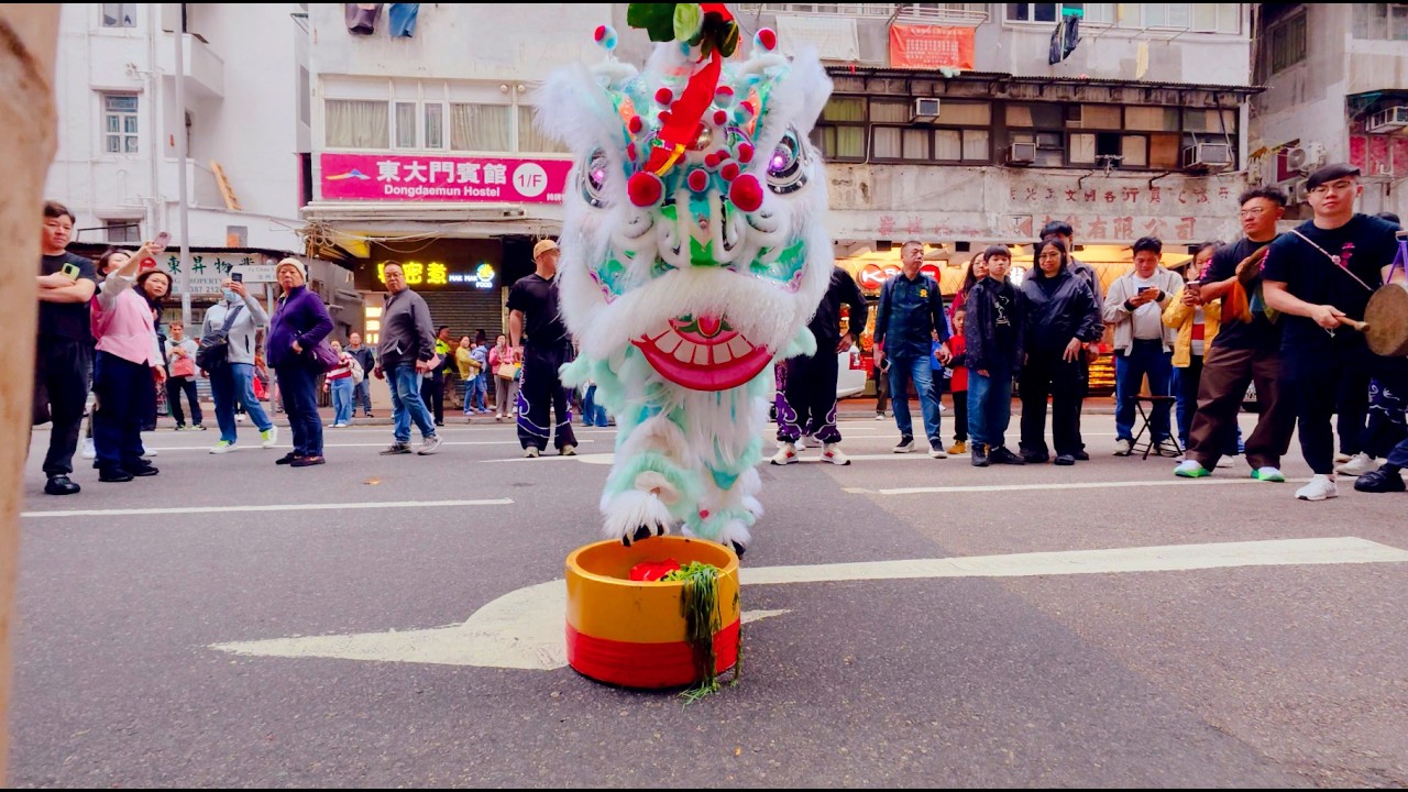 [Watch with me] EP027 Lion Dance & Cai Qing on the First Day of the Lunar New Year 年初一醒獅採青表演