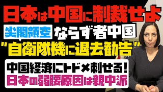 【日本政府は中国に制裁せよ】尖閣領空で、ならず者・中国が自衛隊機に退去勧告。日本が中国経済にトドメ刺せる！日本の弱腰原因は親中派…