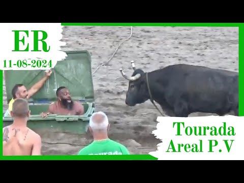Tourada à corda na Praia da Vitória, 2024