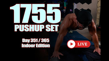 1,755 consecutive pushups - Day 351 / 365