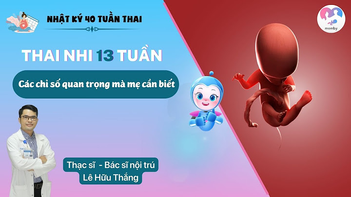 Thay bao nhiêu tuần thì có đầy đủ bộ phận năm 2024