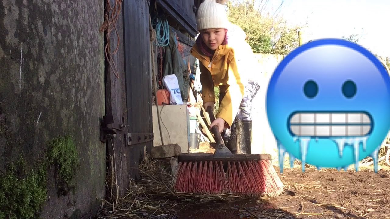 Barn vlog with the animals winter edition!!!