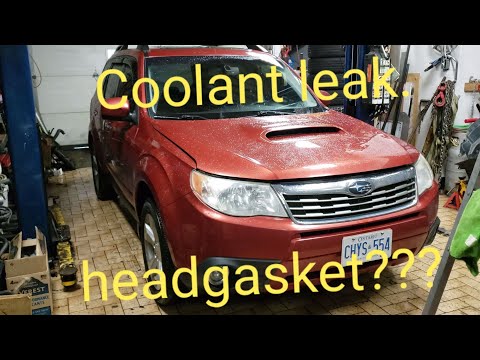 How to fix coolant leak Subaru Forester turbo