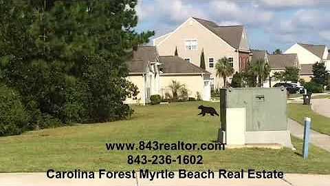 The Farm at Carolina Forest Myrtle Beach SC garbag...