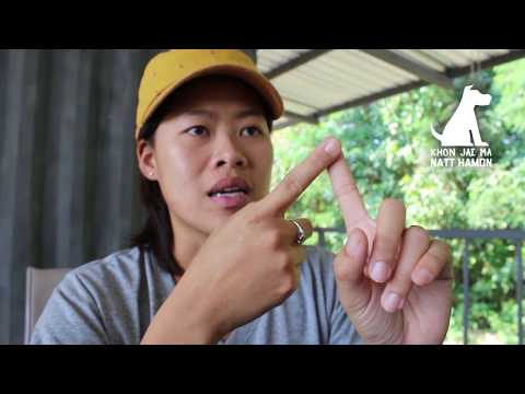 ช่วงคุยกับ Khon Jai Ma | ปัญหาหมาชอบกัดไก่