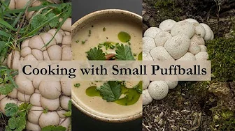 Cooking with Small Puffball Mushrooms